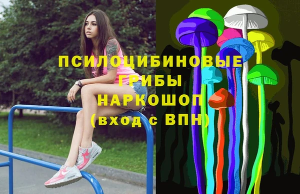 Альфа ПВП Бугульма
