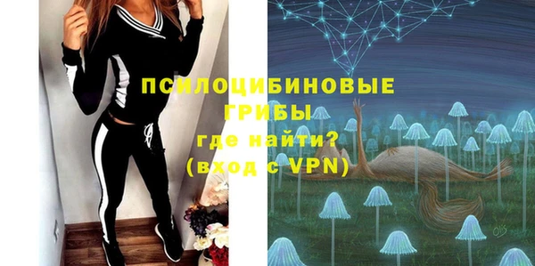 Альфа ПВП Бугульма
