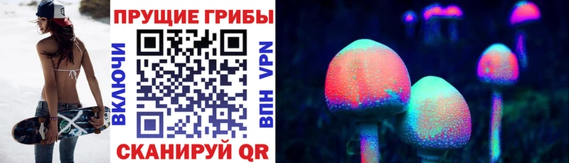 Псилоцибиновые грибы прущие грибы  Купить закладки  Кораблино 